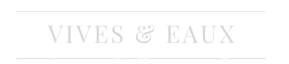 logo vives eaux nouveaux